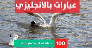 10 examples of prepositional phrases about Phrases in English عبارات انجليزية إيجابية مترجمة عبارات بالانجليزي