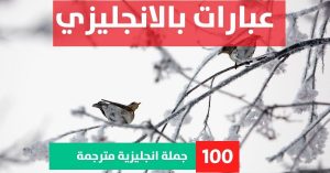 10 examples of sentences about Phrases in English عبارات عن الكتب بالانجليزي عبارات بالانجليزي