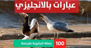 10 idioms and phrases about Phrases in English عبارات بالانجليزي عن الحب مترجمة عبارات بالانجليزي