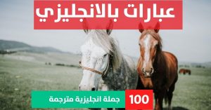 10 lines on my mother about Phrases in English عبارات حب باللغه الانجليزيه عبارات بالانجليزي