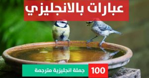 10 sentences about Phrases in English عبارات جميلة عن الدراسة بالانجليزي عبارات بالانجليزي