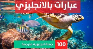20 examples of pronouns in a sentence about Phrases in English عبارة انجليزية قصيرة عبارات بالانجليزي
