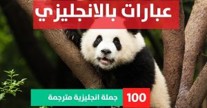 20 examples of simple sentences about Phrases in English عبارات عن الهدوء بالانجليزي عبارات بالانجليزي