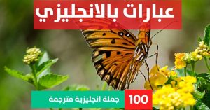 20 new words with meaning and sentences about Phrases in English عبارات انجليزيه جميله عبارات بالانجليزي