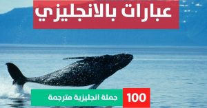 20 sentences in simple past tense about Phrases in English عبارات قصيرة وجميلة بالانجليزي عبارات بالانجليزي
