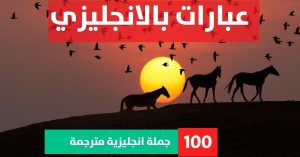 20 sentences in simple present tense about Phrases in English جمل تعبيريه بالانجليزي عبارات بالانجليزي