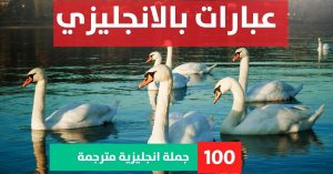 20 sentences of conjunction about Phrases in English عبارات عن الخيانة بالانجليزي عبارات بالانجليزي