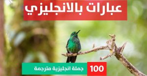 20 sentences of interjection about Phrases in English عبارات جميلة بالانجلش عبارات بالانجليزي