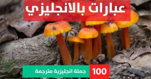 25 examples of simple sentences about Phrases in English عبارات باللغة الانجليزية عبارات بالانجليزي