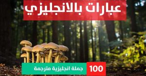25 phrases with sentences about Phrases in English عبارات انجليزية مترجمة عربي عبارات بالانجليزي