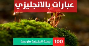 26 word alphabet sentence about Phrases in English عبارات انجليزي عميقه عبارات بالانجليزي