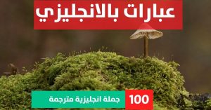 2nd conditional examples about Phrases in English عبارات انجليزيه عن القهوه عبارات بالانجليزي