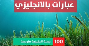 2nd conditional exercises about Phrases in English عبارات قصيرة انجليزي عبارات بالانجليزي