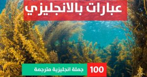 3 sentences example about Phrases in English عبارات عن الازياء والموضه بالانجليزي عبارات بالانجليزي