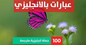 5 complex sentences about Phrases in English عبارات تشجيعية بالانجليزي للاطفال عبارات بالانجليزي