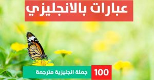5 examples of conditional sentences about Phrases in English عبارات عميقة بالانجليزي عبارات بالانجليزي