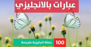 5 sentences about peacock in english about Phrases in English عبارات مدح بالانجليزي عبارات بالانجليزي