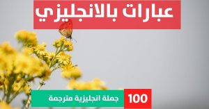5 simple sentences about Phrases in English عبارات مساعدة لكتابة تعبير انجليزي عبارات بالانجليزي