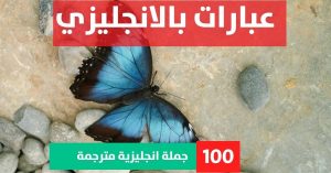 50 conjunction sentences about Phrases in English عبارات شائعة في اللغة الانجليزية عبارات بالانجليزي