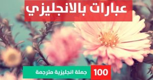 500 daily use english sentences about Phrases in English عبارات انجليزية عن القوة عبارات بالانجليزي