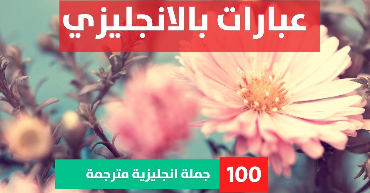 500 daily use english sentences about Phrases in English عبارات بالانجليزي عبارات بالانجليزي